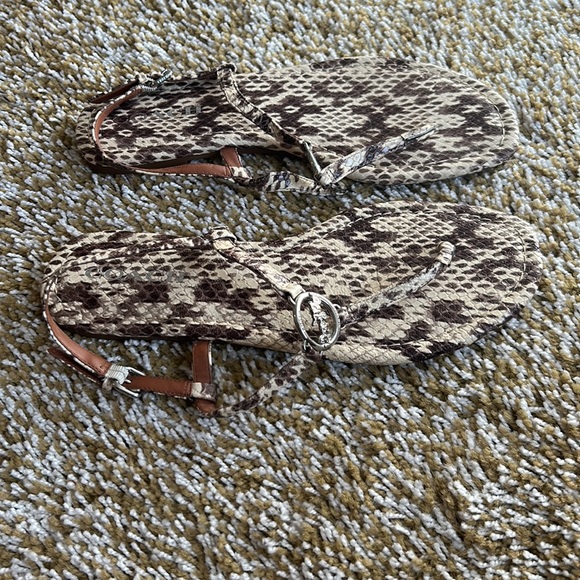 Coach - Picture 5 of 5